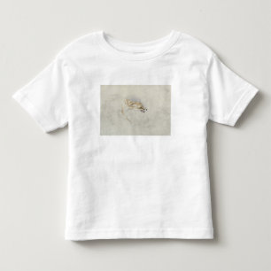 Studie av en huka sig ned räv, belägen mitt emot t shirt