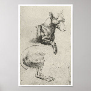 Studie av en hund, Leonardo Da Vinci Poster