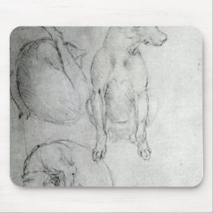 Studie av en hund och en katt, c.1480 musmatta