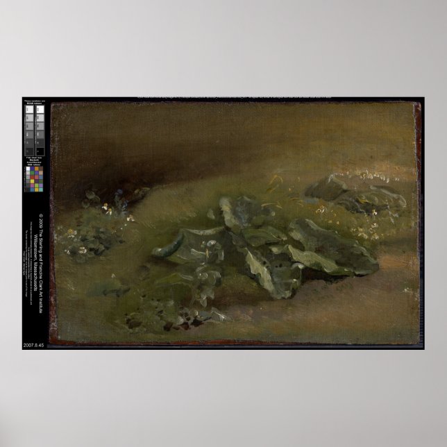 Studie av en kolja - John Constable Poster (Framsidan)