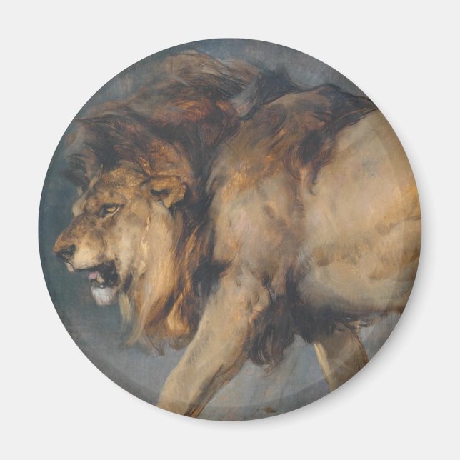 Studie av en Lejon (av Edwin Henry Landseer) Magnet (Framsidan)