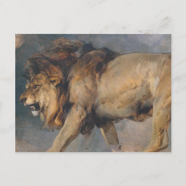 Studie av en Lejon (av Edwin Henry Landseer) Vykort (Framsida)
