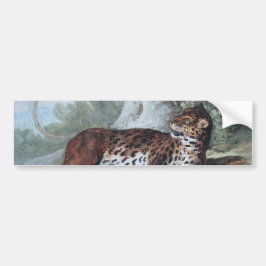 Studie av en leopard (av Jean-Baptiste Oudry) Bildekal