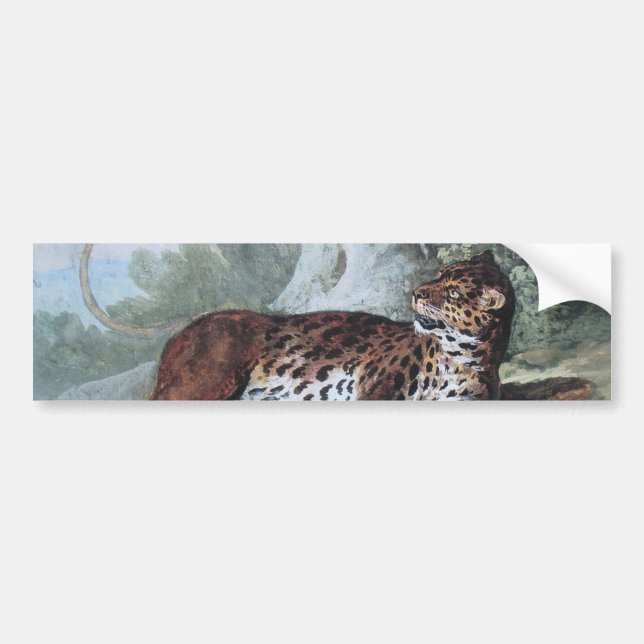 Studie av en leopard (av Jean-Baptiste Oudry) Bildekal (Framsidan)