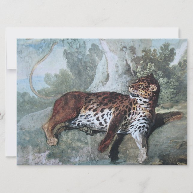 Studie av en leopard (av Jean-Baptiste Oudry) Kort (Framsida)