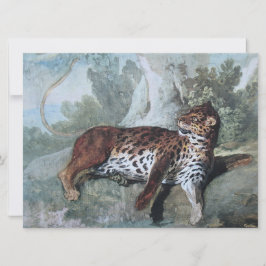 Studie av en leopard (av Jean-Baptiste Oudry) Kort