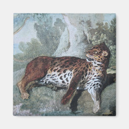 Studie av en leopard (av Jean-Baptiste Oudry) Magnet