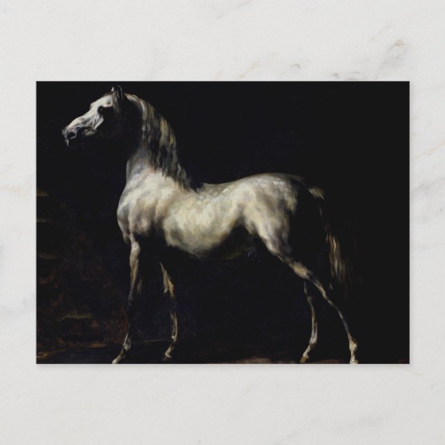 Studie av en prickig gråhäst vykort (Framsida)