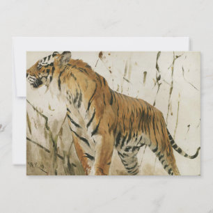 Studie av en tiger Wilhelm Kuhnert