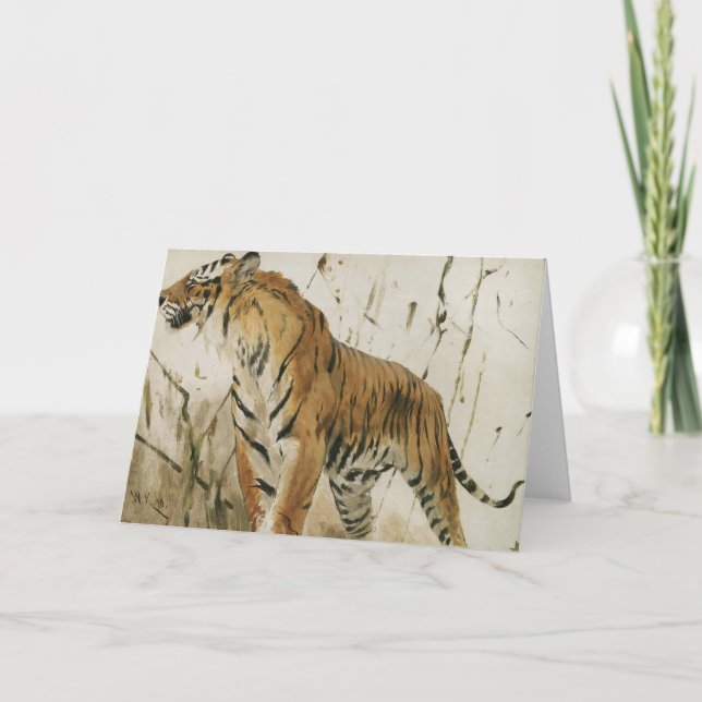 Studie av en tiger | Wilhelm Kuhnert Kort (Framsida)