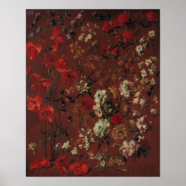 Studie av Flowers, 1720 Poster (Framsidan)