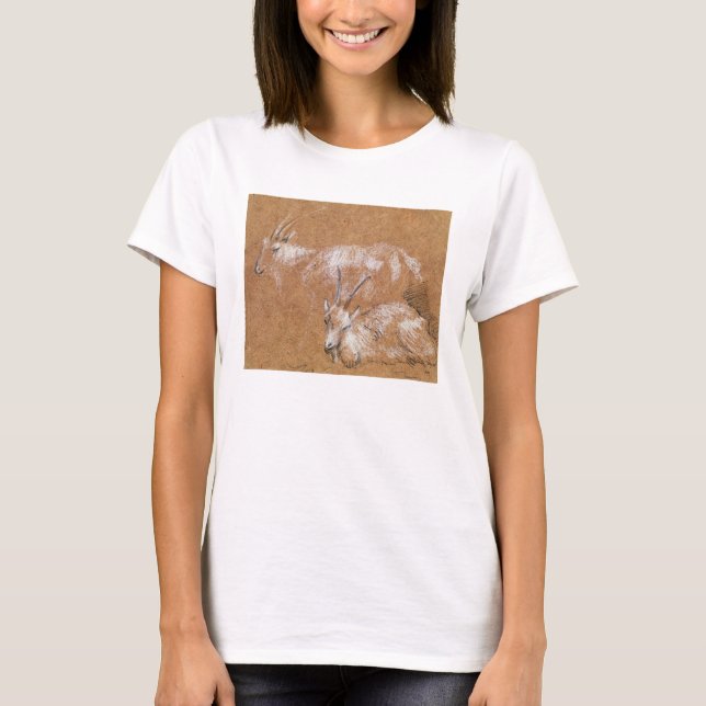 Studie av getter (teckning) t-shirt (Framsida)