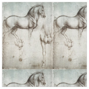 Studie av hästar Leonardo Da Vinci Circa 1490 Tyg