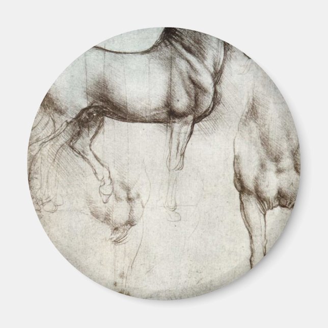 Studie av hästar - Leonardo da Vinci Magnet (Framsidan)