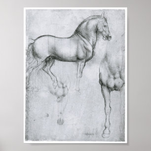 Studie av hästar, Leonardo Da Vinci Poster