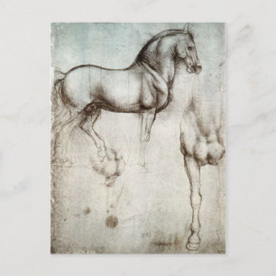 Studie av hästar - Leonardo Da Vinci Vykort