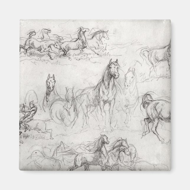 Studie av hästar magnet (Framsidan)