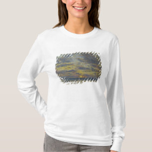 Studie av himmlen med inställningssolen, c.1862-7 tee