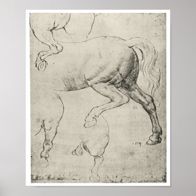 Studie av Hindquarters of a Horse, Da Vinci Poster (Framsidan)