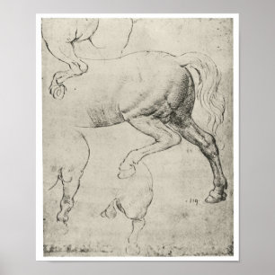 Studie av hindquartersna av en häst, Da Vinci Poster
