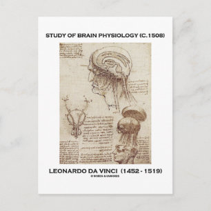 Studie av hjärnfysiologi (Leonardo da Vinci 1508) Vykort