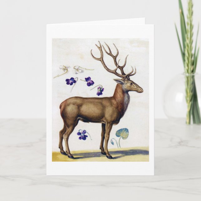 Studie av Hjort och blomma, Arcimboldo Kort (Framsida)