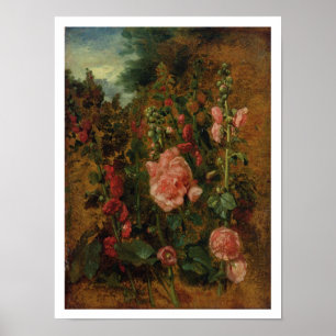 Studie av Hollyhocks, 1826 (olja ombord) Poster