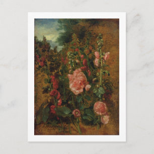 Studie av Hollyhocks, 1826 (olja ombord) Vykort