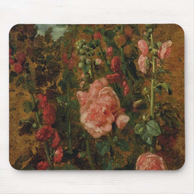 Studie av Hollyhocks, c.1826 (olja ombord) Musmatta (Framsidan)