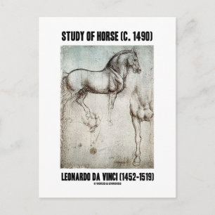 Studie av Horse (c. 1490) Leonardo da Vinci Vykort