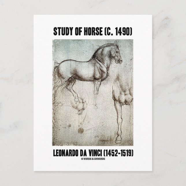Studie av Horse (c. 1490) Leonardo da Vinci Vykort (Framsida)
