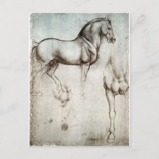 Studie av horse.en vykort (Framsida)