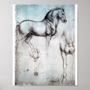 Studie av Horse, Leonardo da Vinci Poster