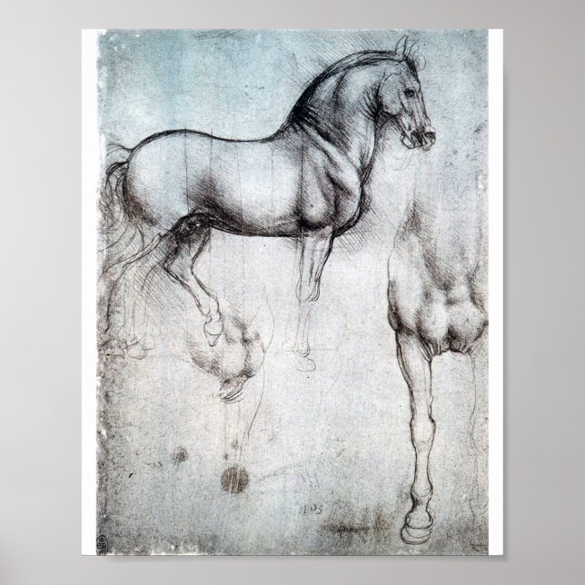 Studie av Horse, Leonardo da Vinci Poster (Framsidan)