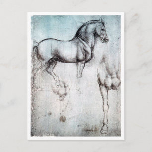 Studie av Horse, Leonardo da Vinci Vykort