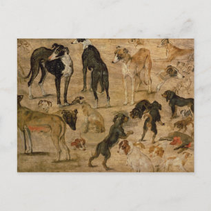 Studie av Hounds, 1616 Vykort