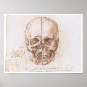 Studie av Human Skull, Leonardo da Vinci Poster
