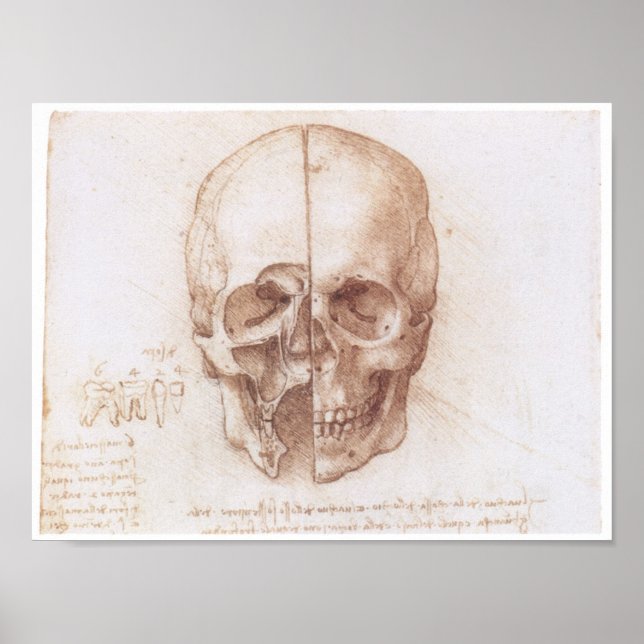 Studie av Human Skull, Leonardo da Vinci Poster (Framsidan)
