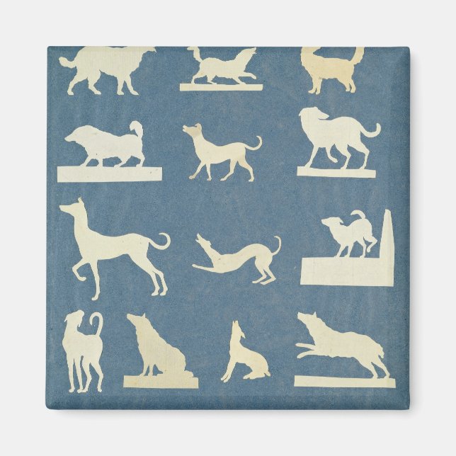 Studie av Hundar Magnet (Framsidan)