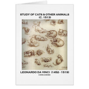 Studie av katter & andra djur (Leonardo Da Vinci) Hälsningskort