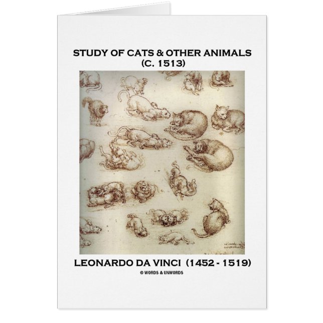 Studie av katter & andra djur (Leonardo Da Vinci) Hälsningskort (Framsidan)