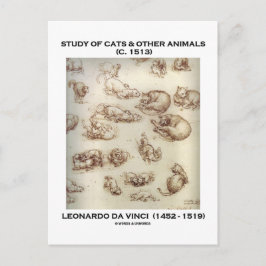 Studie av katter & andra djur (Leonardo da Vinci) Vykort