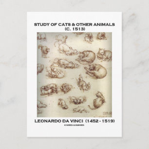 Studie av katter & andra djur (Leonardo da Vinci) Vykort