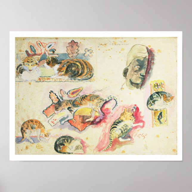 Studie av katter och huvud (vikt/omkrets på papper poster (Framsidan)