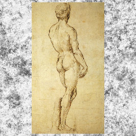 Studie av Michelangelos David Statue av Raphael Poster