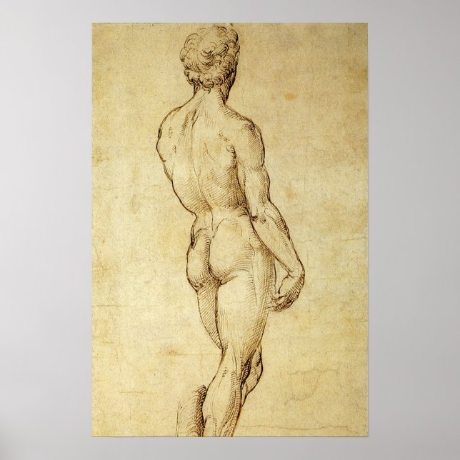 Studie av Michelangelos David-staty av Raphael Poster (Framsidan)
