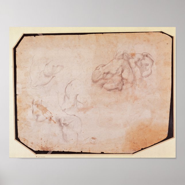 Studie av muskler poster (Framsidan)