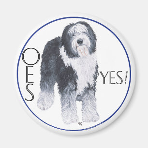 Studie av Old English Sheepdogs huvud Magnet