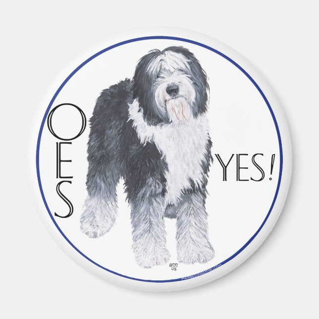 Studie av Old English Sheepdogs huvud Magnet (Framsidan)