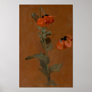Studie av Poppies - James Inskipp Poster